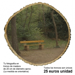 TU FOTOGRAFÍA EN TRONCOS